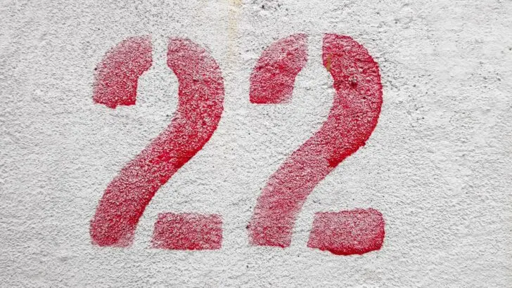 What does the number 22 mean in the Bible