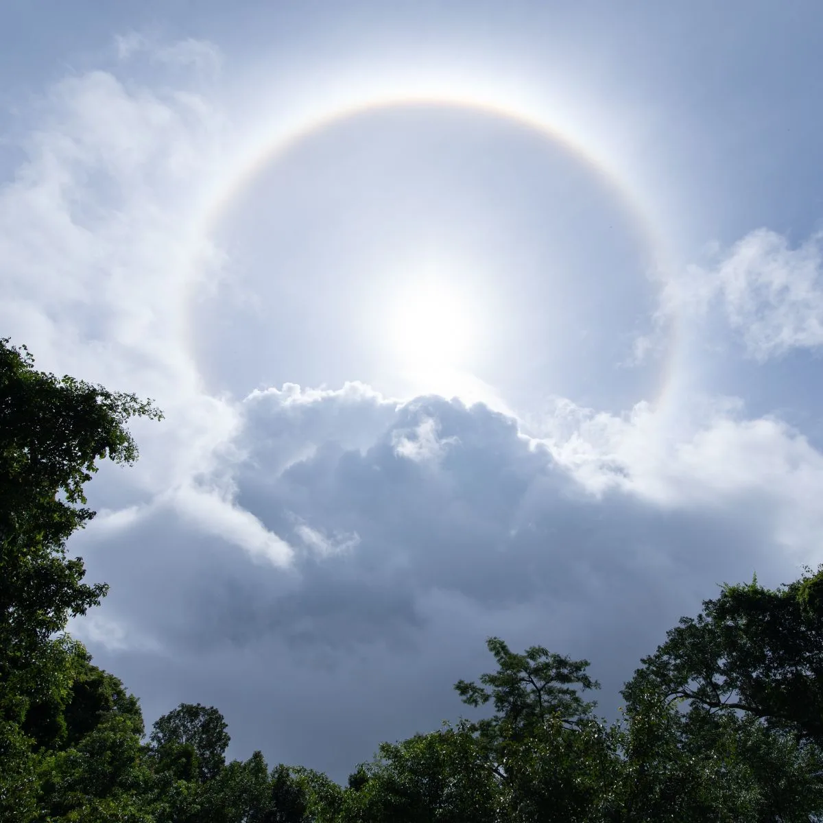 Halo Around The Sun: biblical meaning - Bible Wings