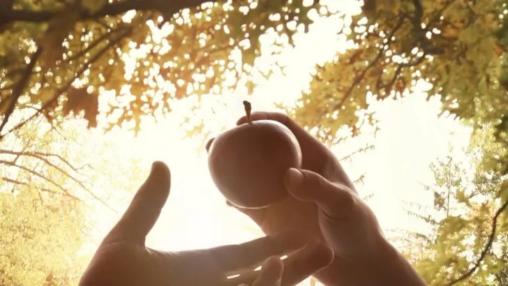 Alkebulan in the Bible Africa