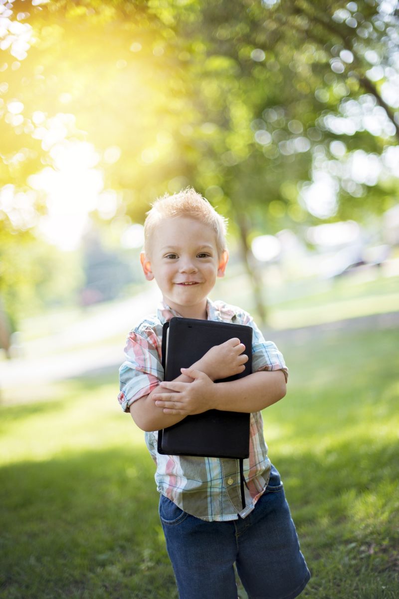 bible-lesson-on-creation-for-youth-bible-wings