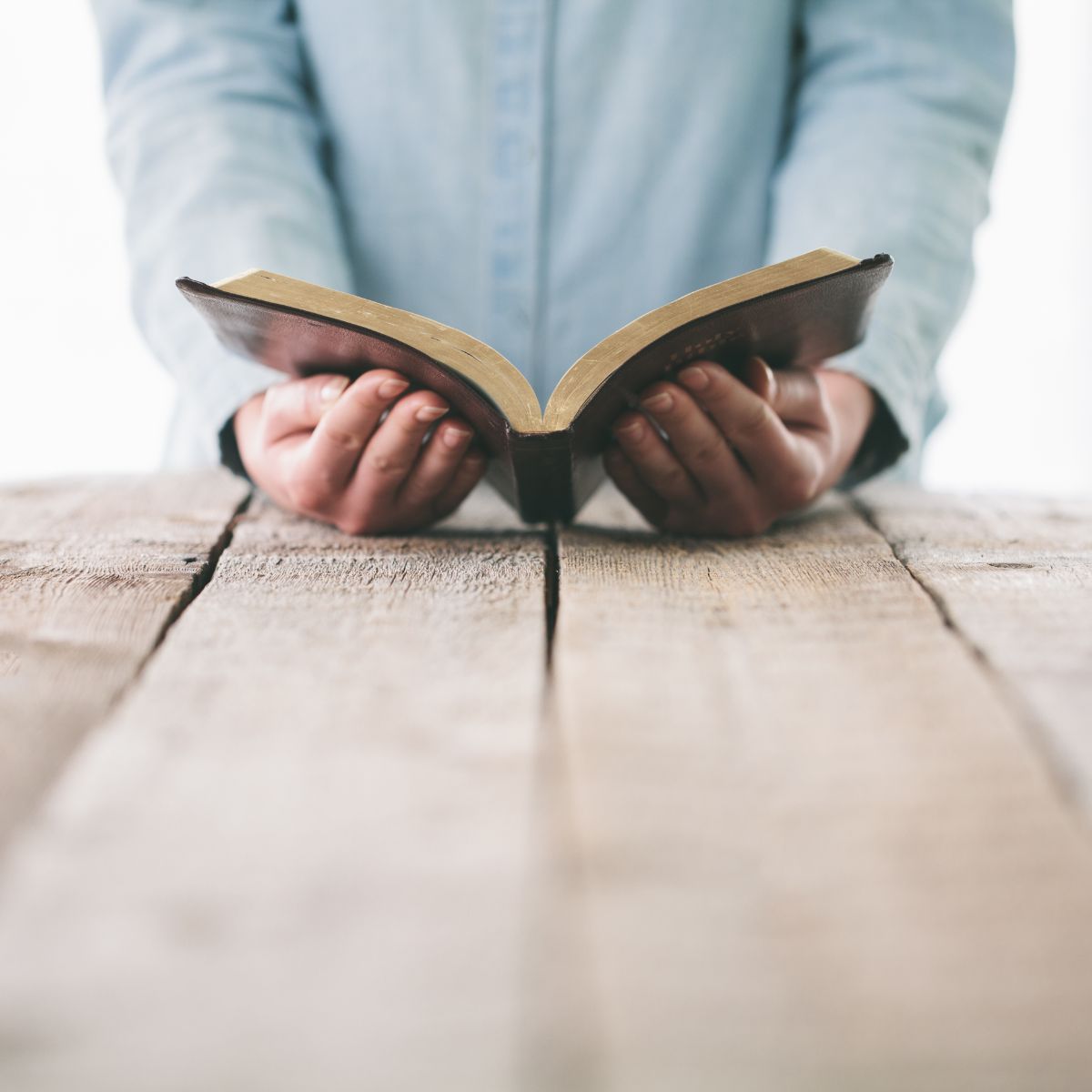 Biblical Meaning Of 1212 Bible Wings