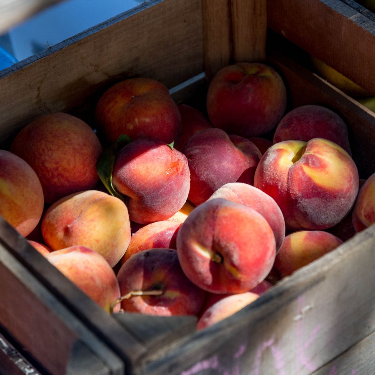 What Do Peaches Symbolize In The Bible? Bible Wings