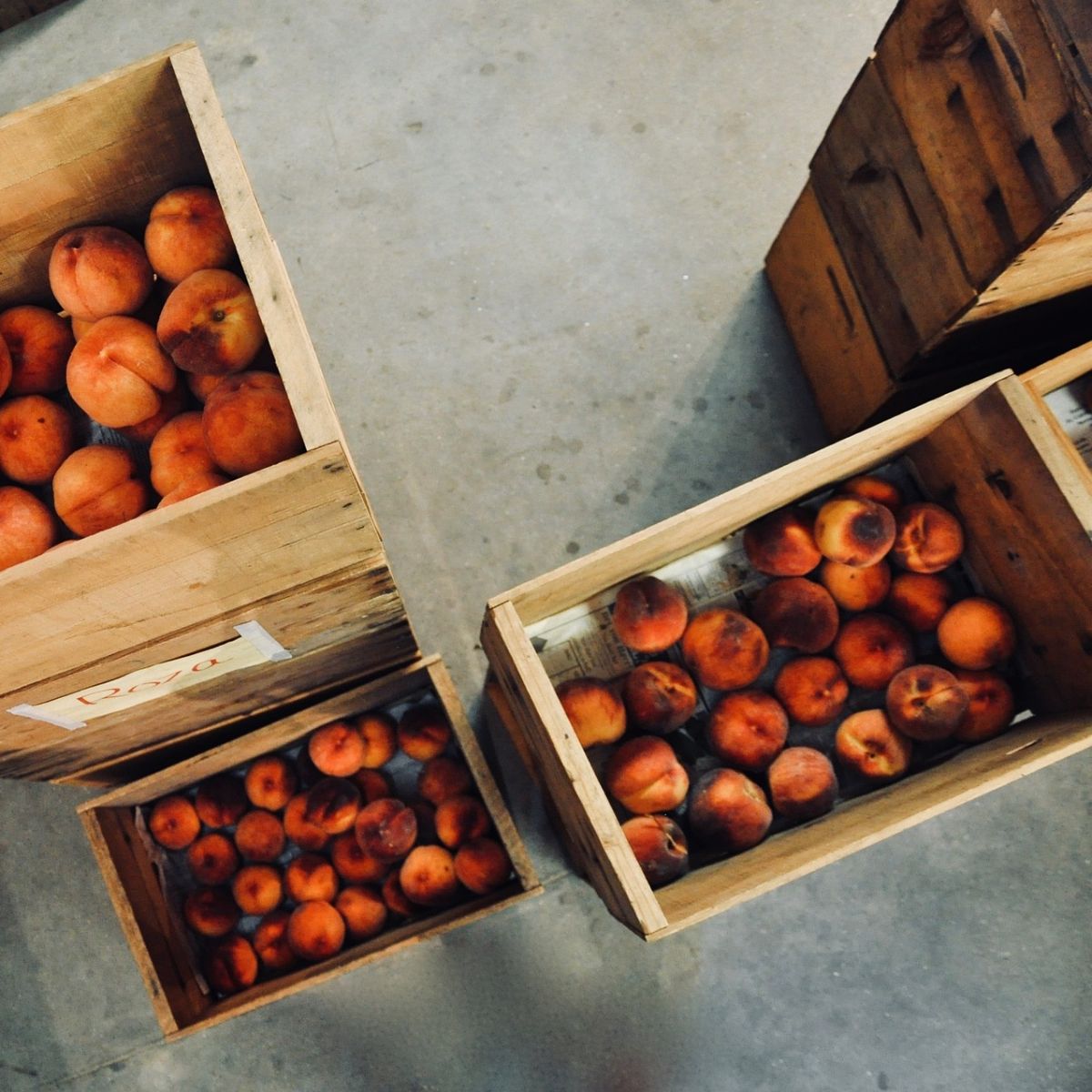 What Do Peaches Symbolize In The Bible? Bible Wings