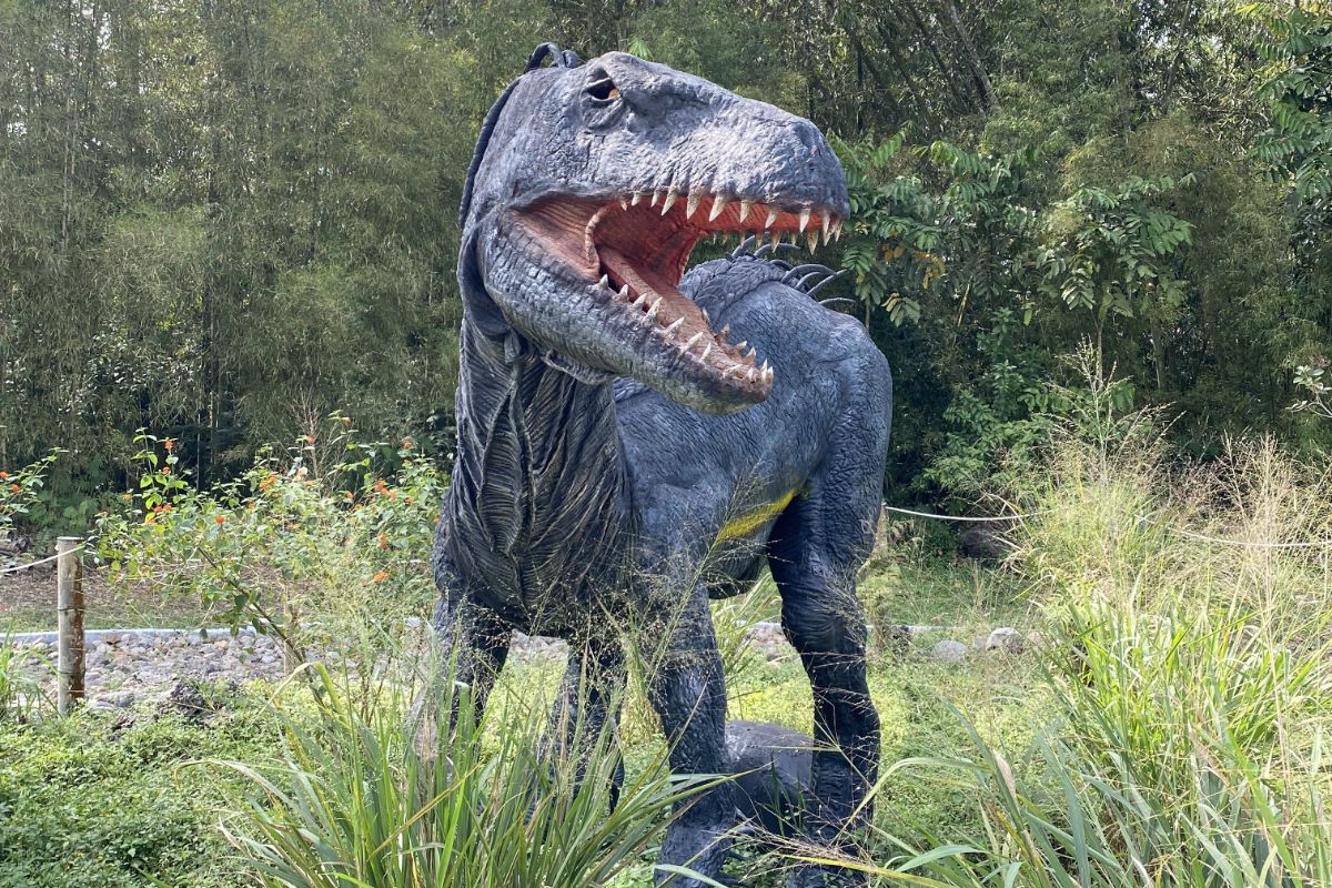 What Does The Bible Say About Dinosaurs' Extinction? Bible Wings