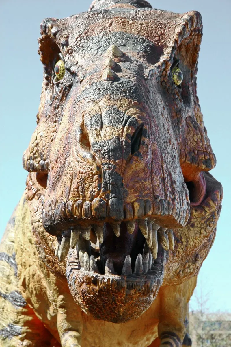 are dinosaurs mentioned in the bible