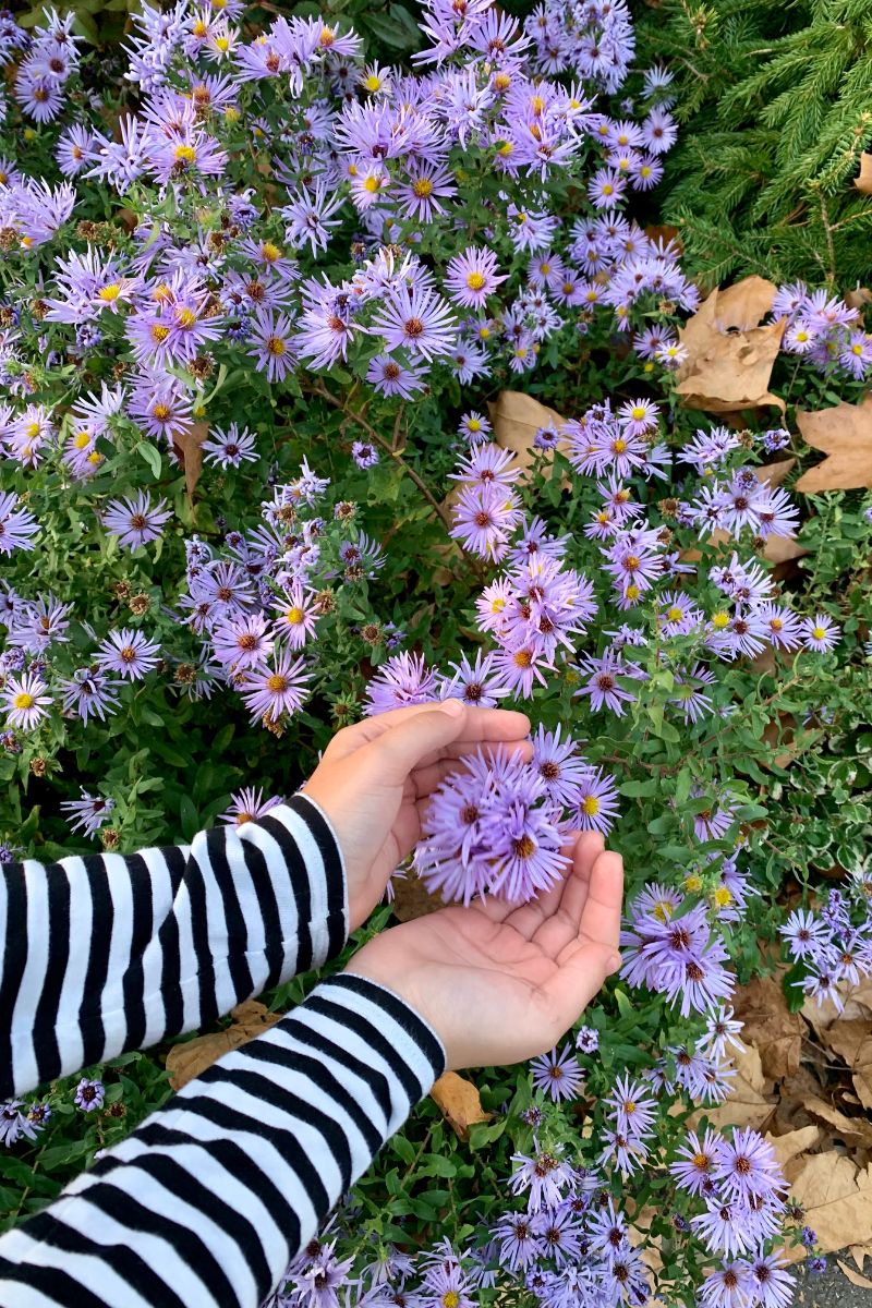 dream of talking to a dead person