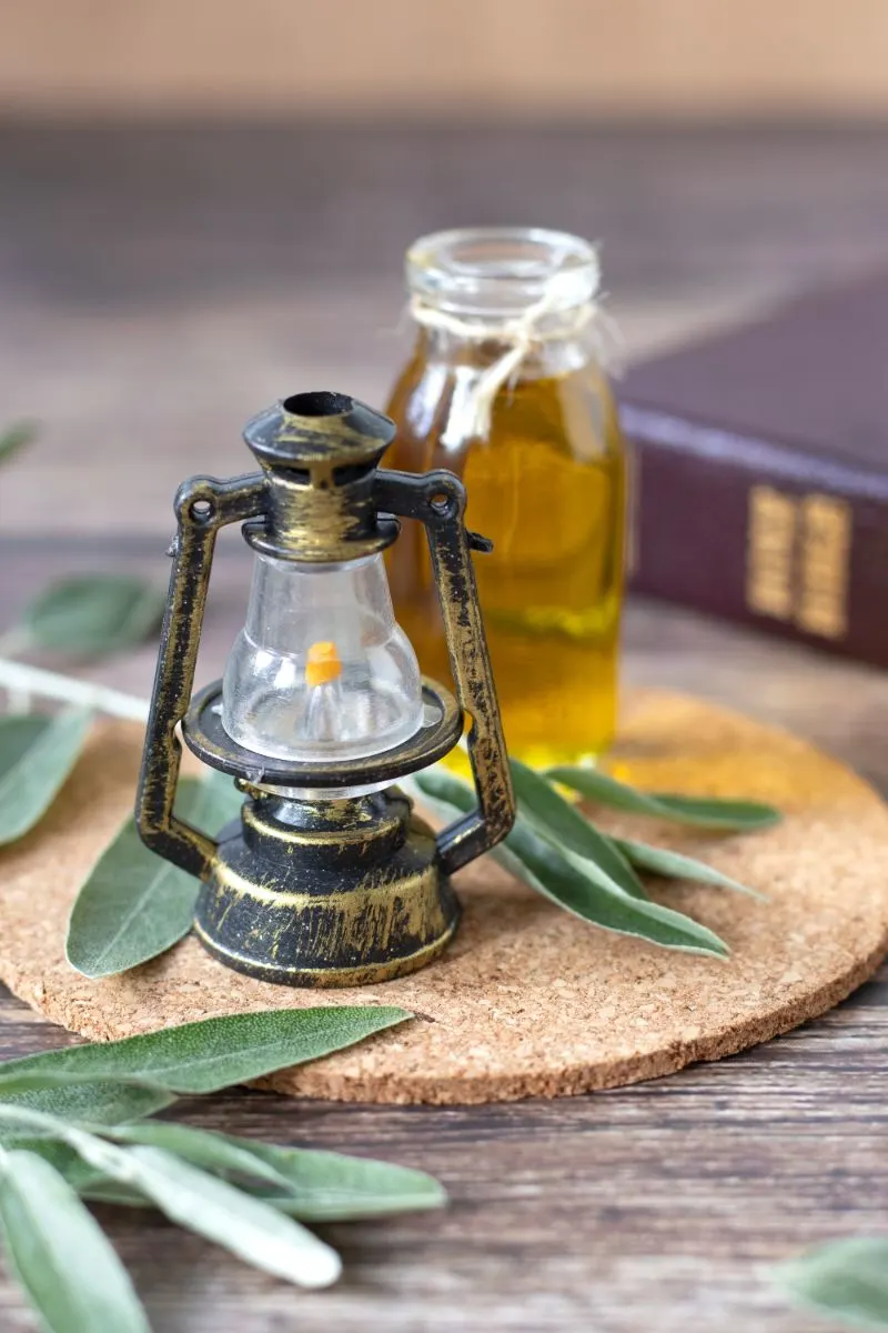 Olive Branch Meaning In The Bible