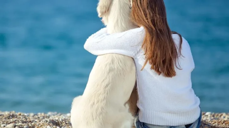 50 Bible Verses About Animals