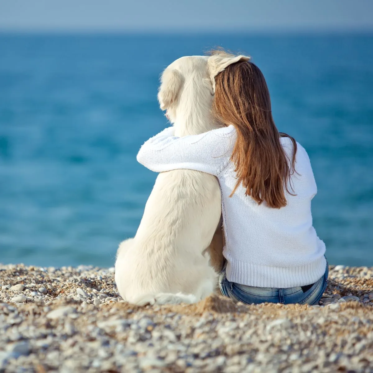 50 Bible Verses About Animals