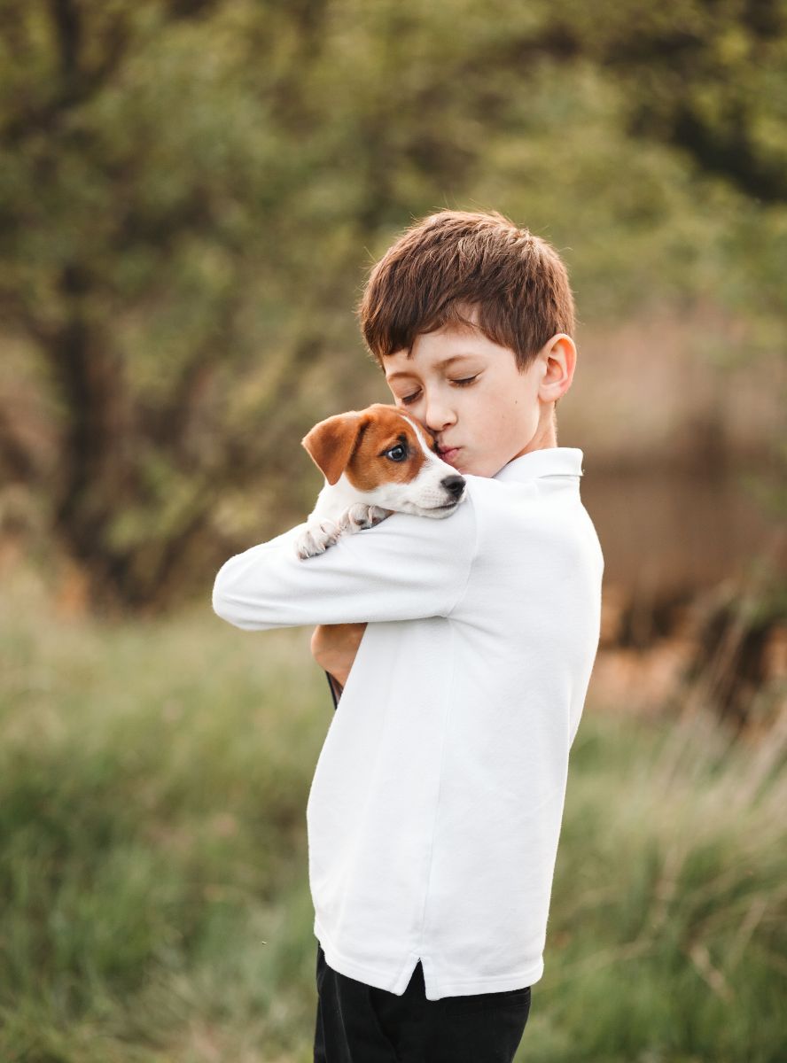 50 Bible Verses About Animals