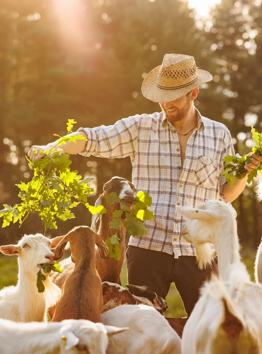 50 Bible Verses About Animals